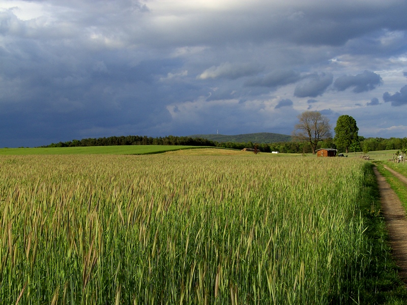 Blick zum Keulenberg