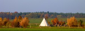 Kopie von P1040962